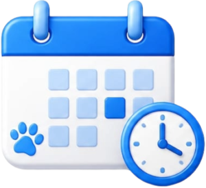 program