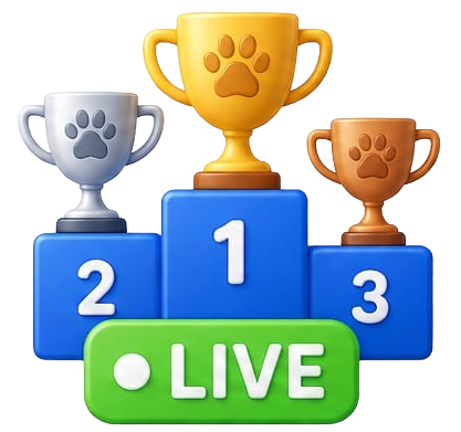 rezultate live