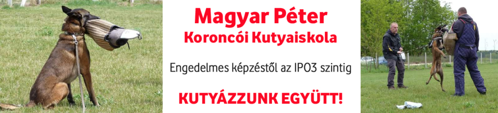 magyarpeterkutyaiskolapng